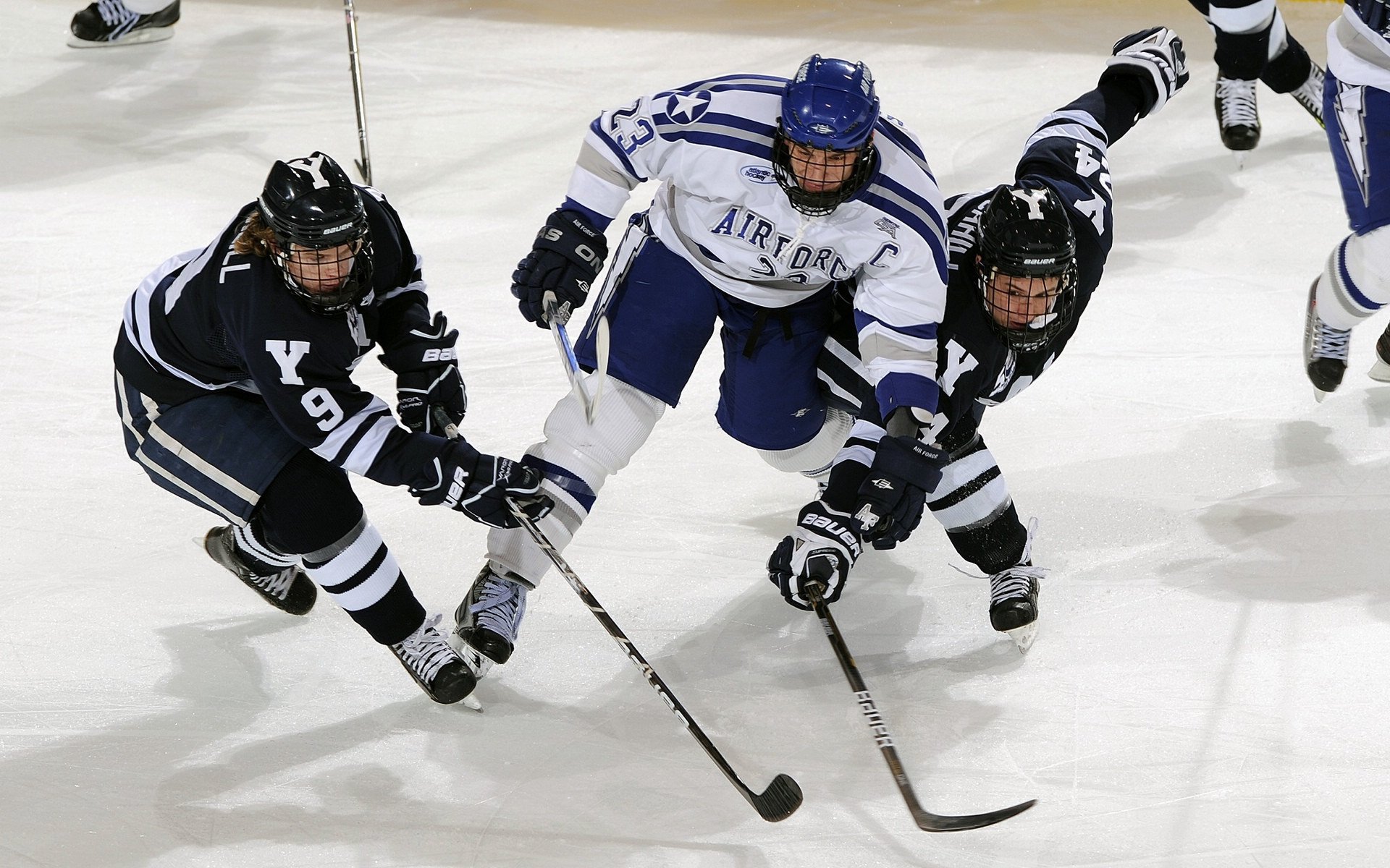 欧洲杯期间的志愿者服务体系，欧洲杯期间的志愿者服务体系有哪些