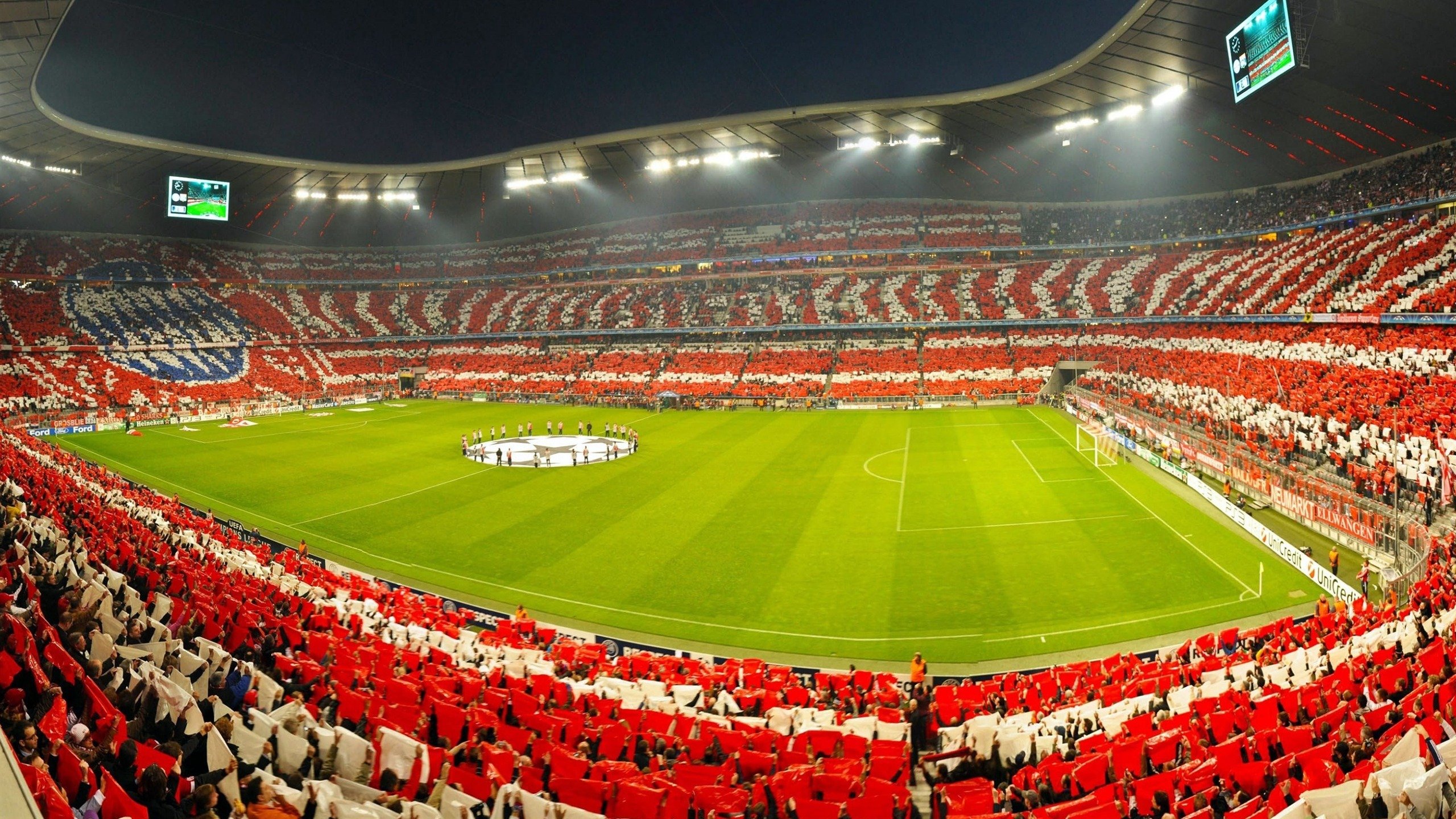 澳大利亚橄榄球强化青训和发展基金，澳大利亚橄榄球队